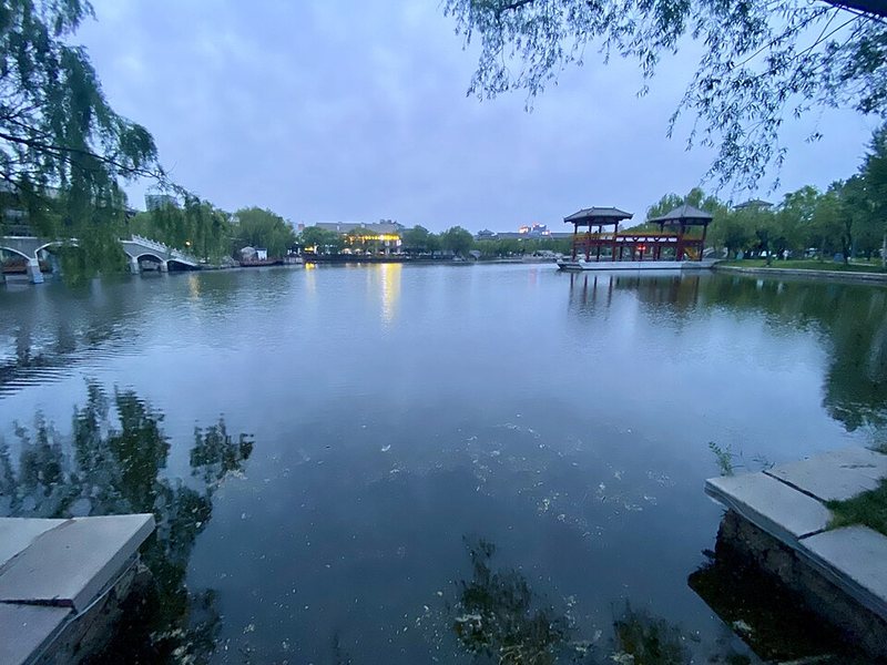 董子园